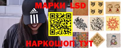гидропоника Нальчик