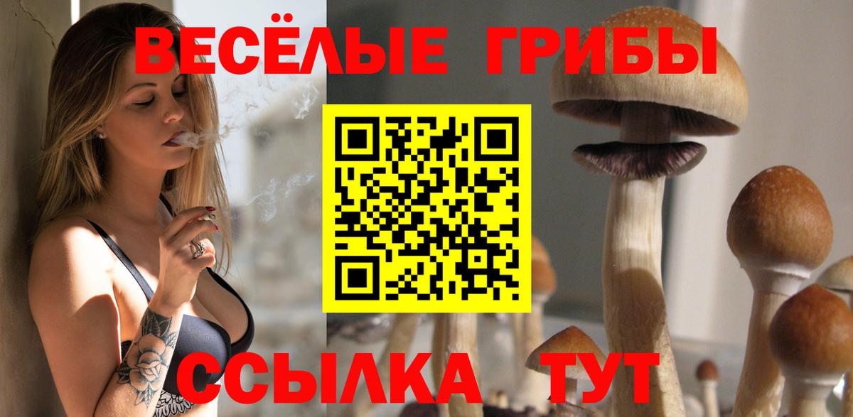 Ступино  Галлюциногенные грибы MAGIC MUSHROOMS  Вход с VPN 